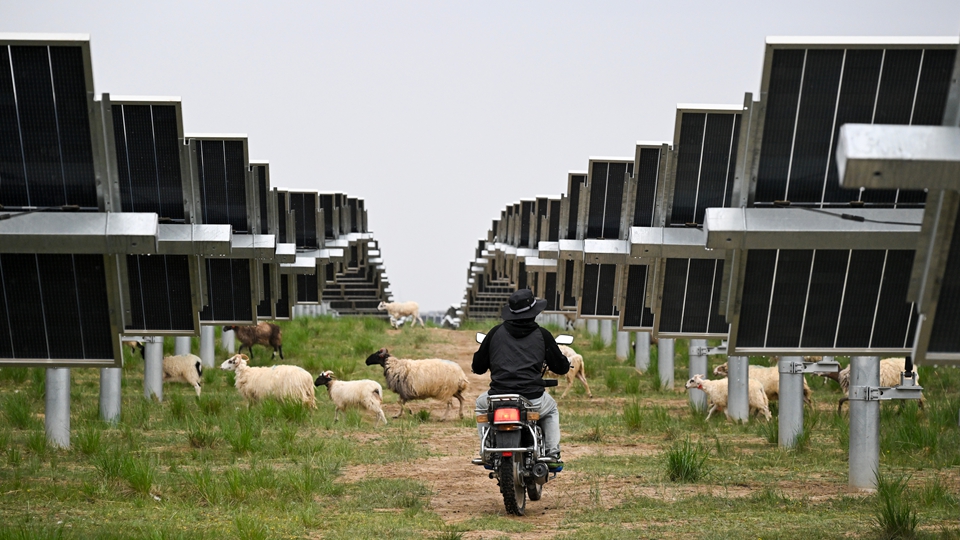 【來論】加快綠色轉(zhuǎn)型 築夢美麗中國