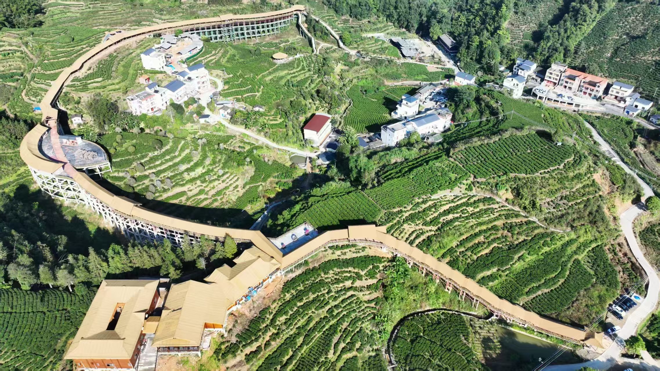 桂蒼梧六堡茶產(chǎn)業(yè)邁入高質(zhì)量發(fā)展新階段