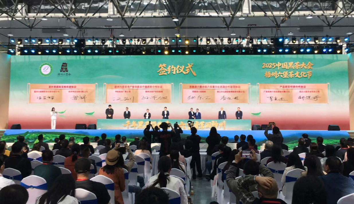 桂梧州以中國黑茶大會為契機(jī) 加快「茶文旅」融合發(fā)展