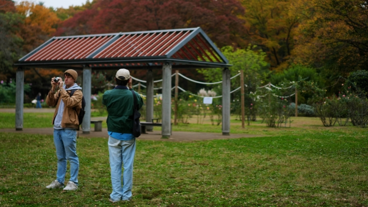 外交部提醒：中國(guó)公民近期避免前往日本