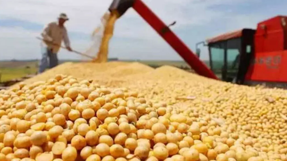 美國免除部分農(nóng)產(chǎn)品「對(duì)等關(guān)稅」