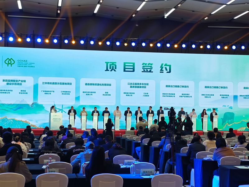 新田縣引進(jìn)辣椒全產(chǎn)業(yè)鏈「旗艦」項(xiàng)目