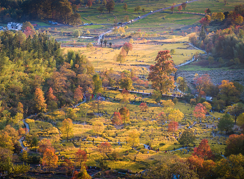 【港商觀察】這場國際文旅盛會何以花落黃山？