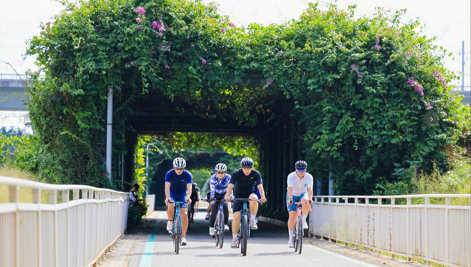 港人北上騎行 深圳絕美推薦路線來了！