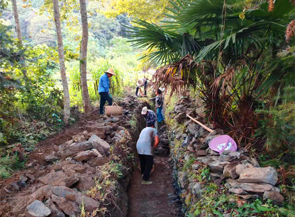 皖黟縣美溪：辦好「民生實事」 提升「幸福指數(shù)」