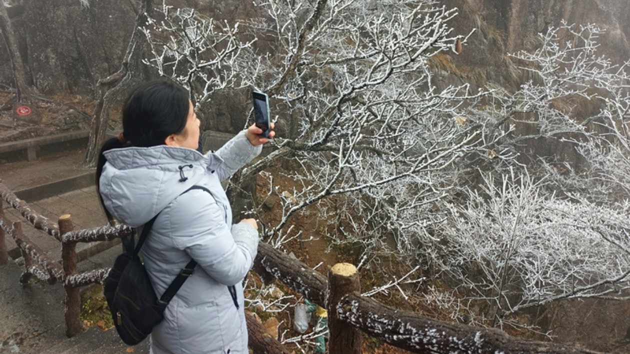 黃山風(fēng)景區(qū)迎來(lái)今冬首場(chǎng)霧凇景觀