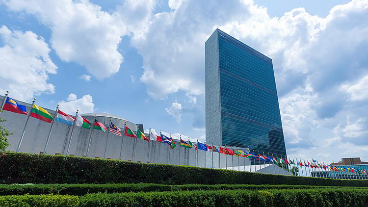 中國(guó)女法官張玲玲當(dāng)選聯(lián)合國(guó)上訴法庭法官