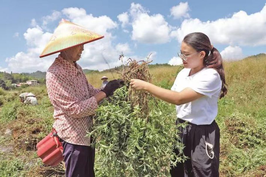 朱彬?yàn)I：學(xué)成返鄉(xiāng)守古村 千年文脈煥新生