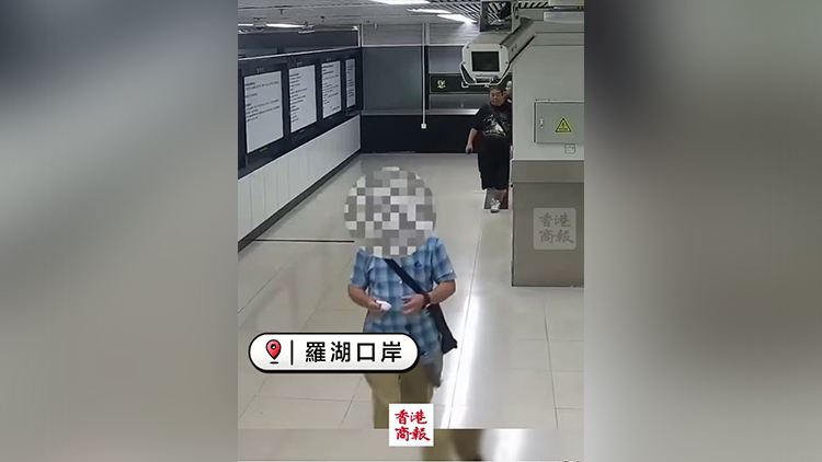 有片｜褲子口袋藏43塊非洲象牙 男子被羅湖海關(guān)截查 