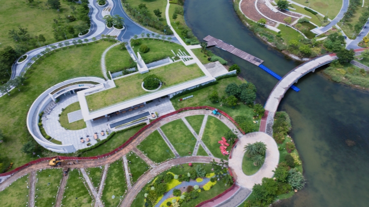 規(guī)上服務業(yè)營收同比增長7.1%！速覽廣東前10月經(jīng)濟運行成績單