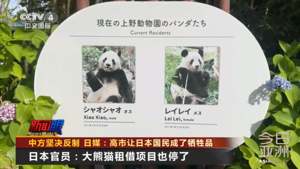 日本政府官員透露：大熊貓租借項(xiàng)目已經(jīng)停止
