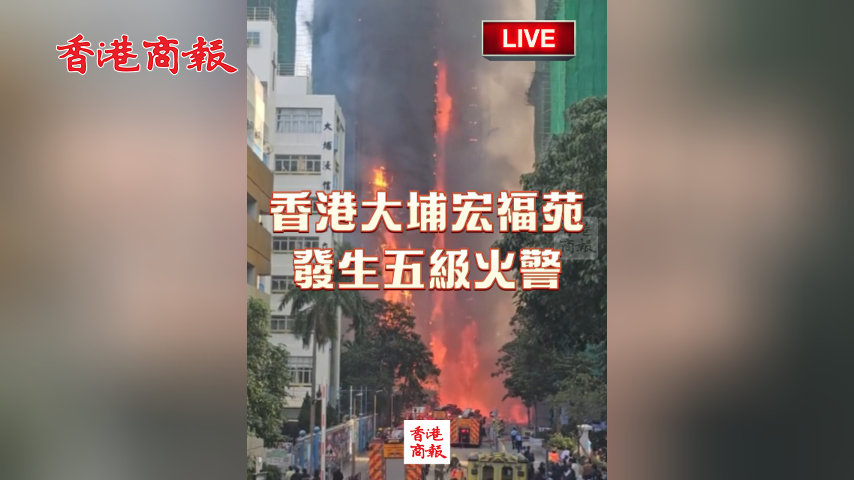 直播｜大埔五級火 已造成4死3危殆1人情況嚴(yán)重