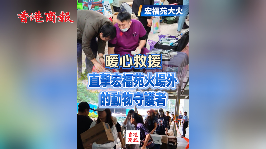 有片丨【宏福苑大火】暖心救援 直擊宏福苑火場外的動物守護(hù)者