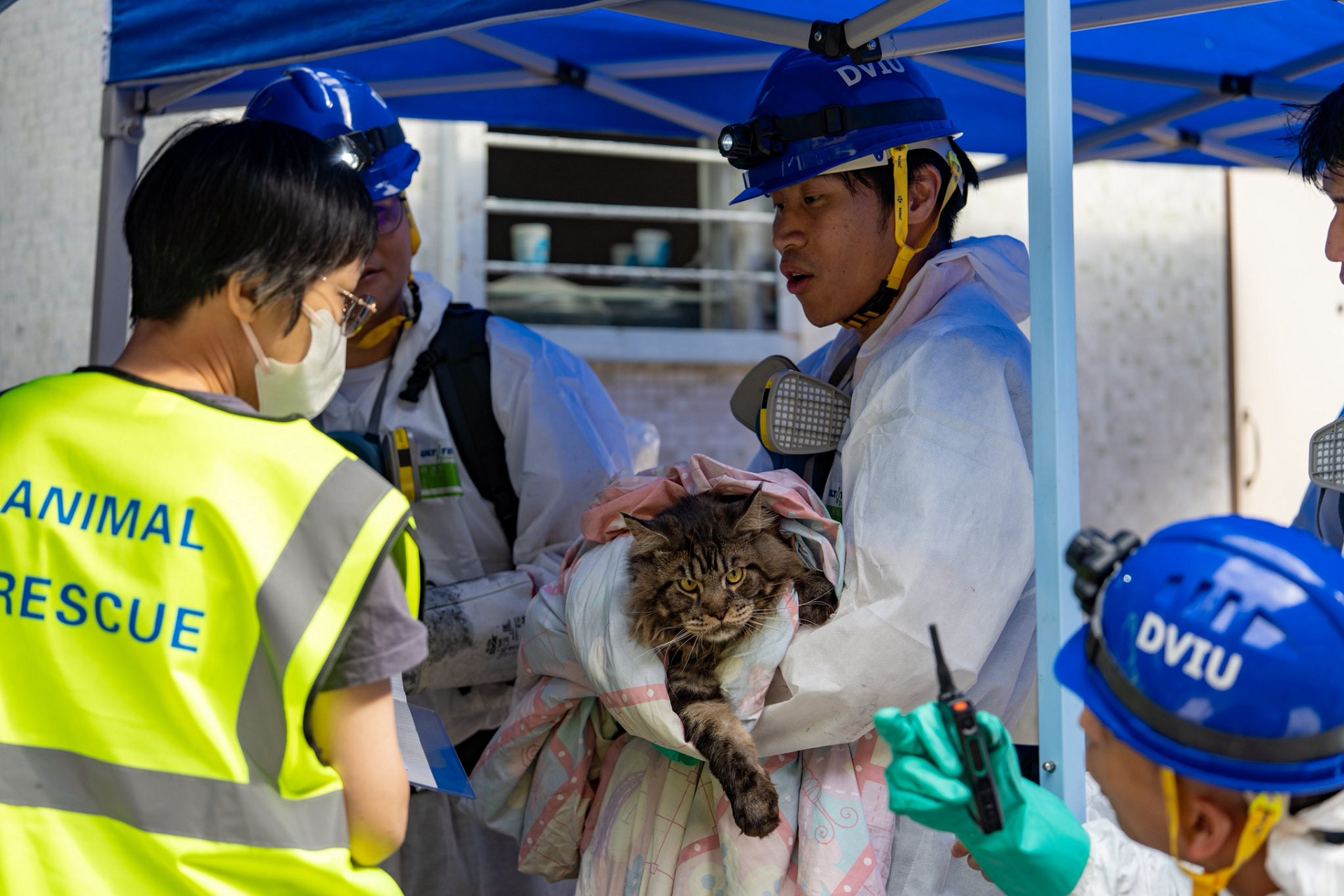 宏福苑大火 | 警方爭分奪秒全力開展搜證行動(dòng)