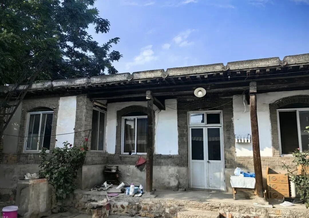 【樹成煮字】老家院裡，該種棵樹