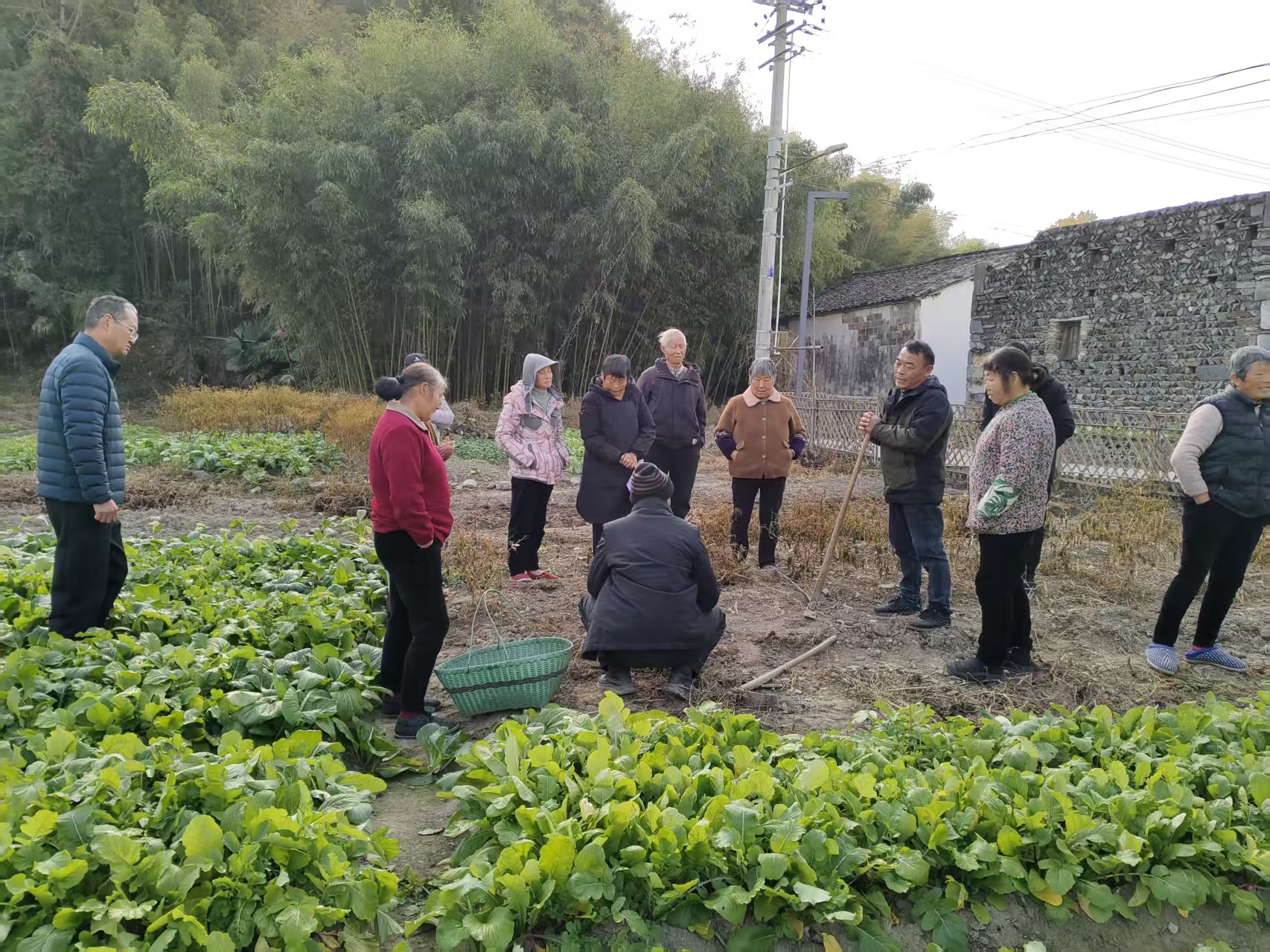皖黟縣西遞鎮(zhèn)：辦好田間課堂 端穩(wěn)「生態(tài)飯碗」