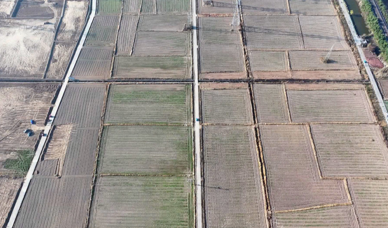 皖歙縣桂林鎮(zhèn)：土地流轉(zhuǎn)顯生機 產(chǎn)業(yè)融合增勢能