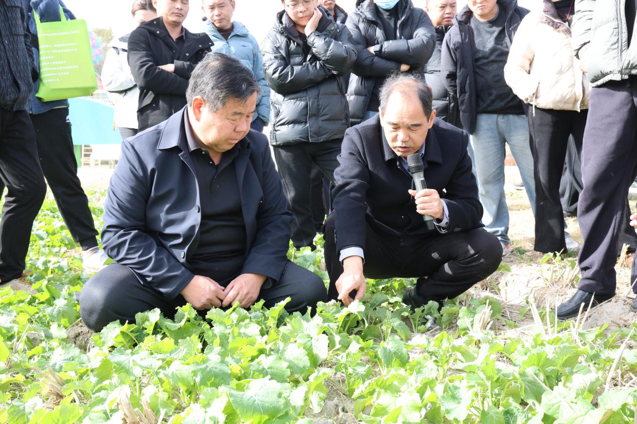 皖祁門縣：讓「冬閒田」巧變「增收田」