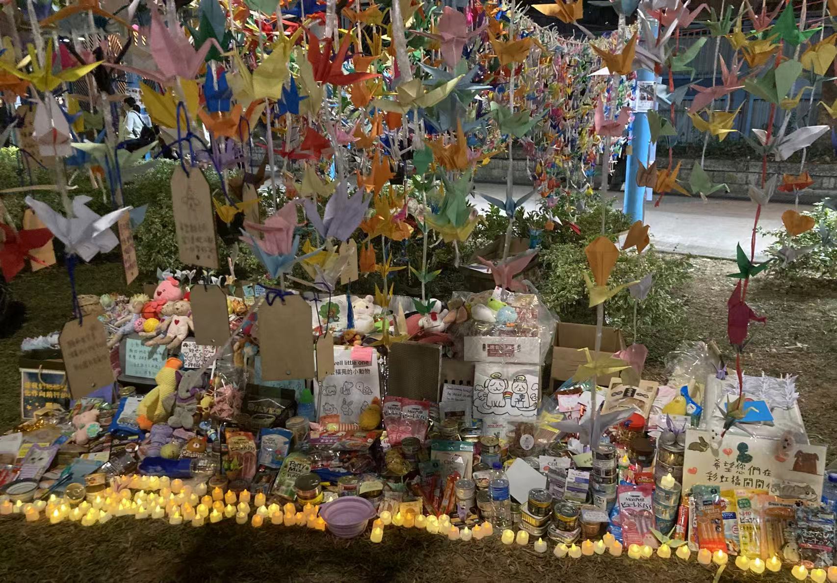 香港惠東同鄉(xiāng)社團(tuán)聯(lián)合深圳市榮超公益基金會(huì)捐贈(zèng)135萬(wàn)善款