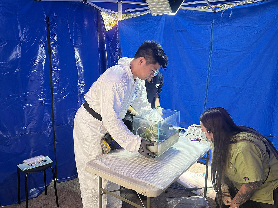 有片〡宏福苑大火：災(zāi)難遇害者辨認(rèn)組救出近百寵物交愛協(xié)