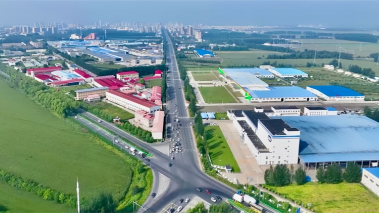 砥礪奮進新征程 雙城堡振興出彩 哈爾濱雙城區(qū)「十四五」高質(zhì)量發(fā)展交出亮眼答卷