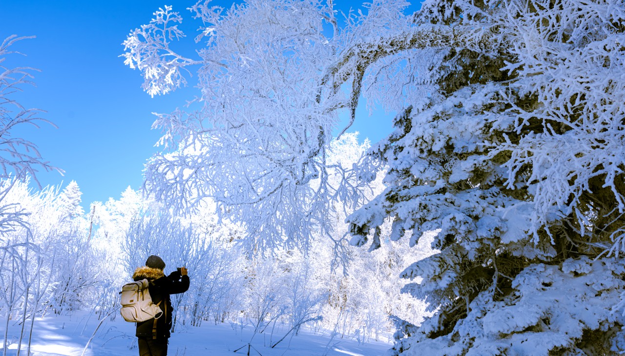 節(jié)氣專稿丨陳耀輝：大雪