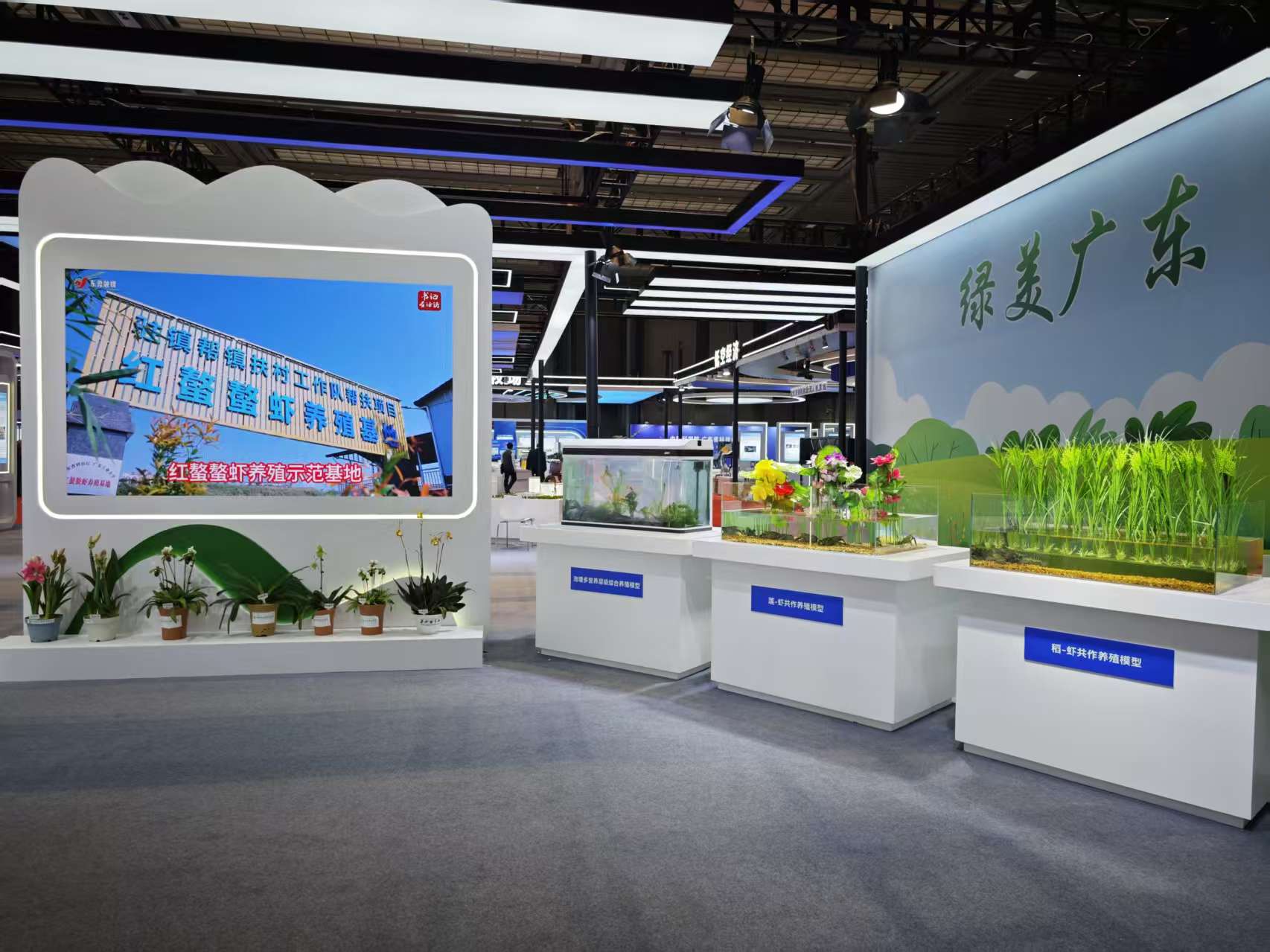 紅螯螯蝦亮相2025大灣區(qū)科學(xué)論壇  參加「中國科學(xué)院廣東省科技成果對接會(huì)」