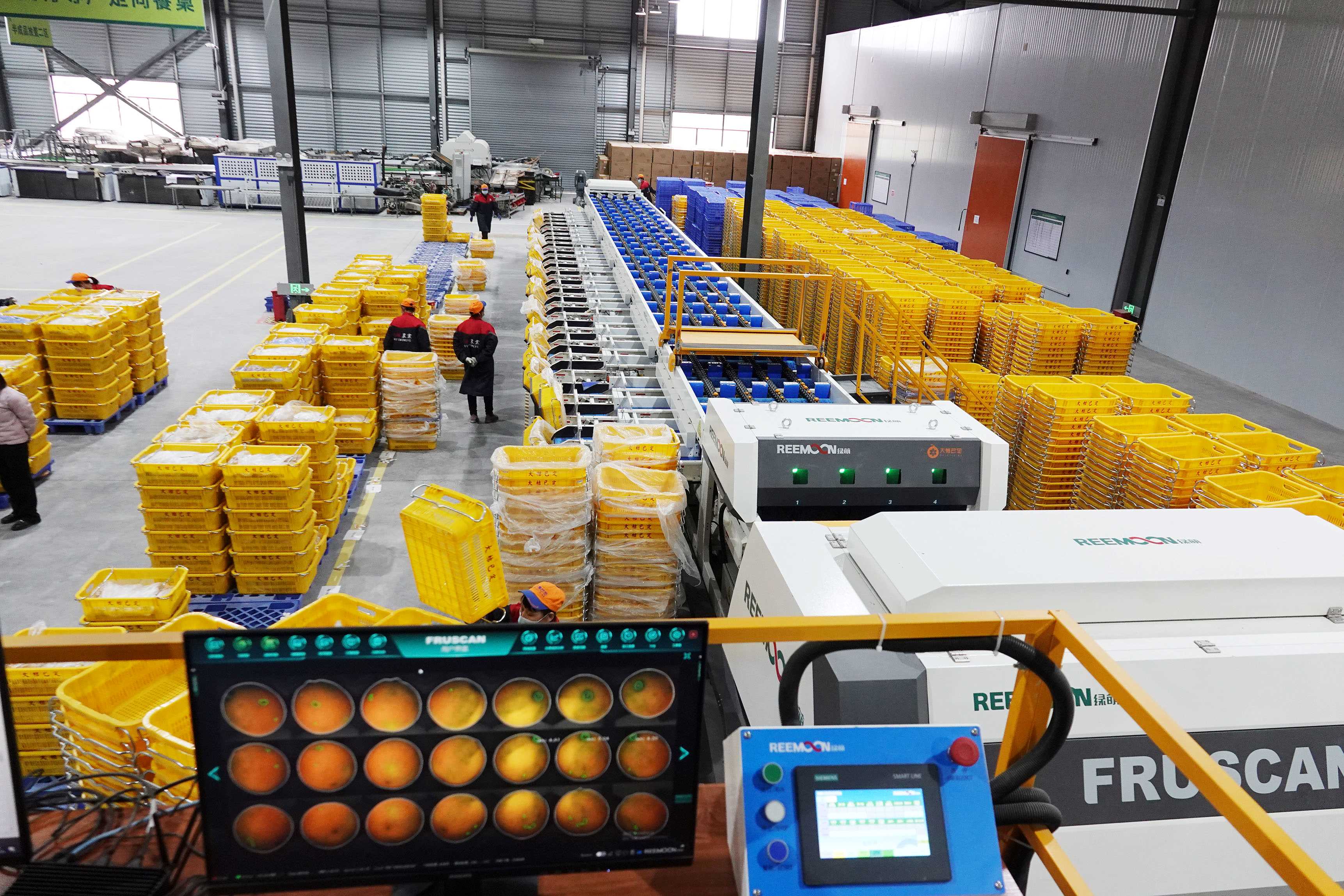 廣西以標(biāo)提質(zhì)構(gòu)建現(xiàn)代農(nóng)業(yè)新格局