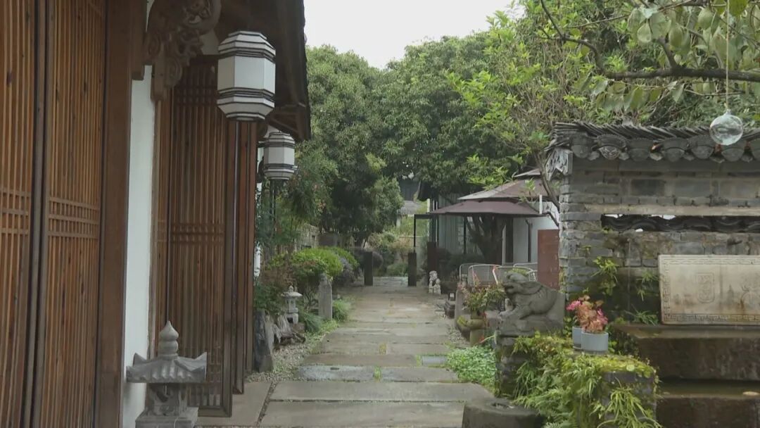 從「零散發(fā)展」向「品牌集聚」 皖屯溪民宿「破圈」鄉(xiāng)村「出彩」