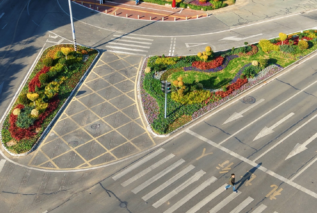 合肥高新區(qū)：街角交通島煥新 邂逅「花漾」出行時(shí)光