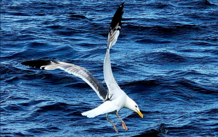 俄經(jīng)濟(jì)發(fā)展部：遠(yuǎn)東地區(qū)將吸引更多中國(guó)遊客 