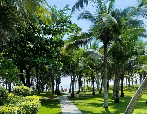 全島封關(guān)在即 海南旅遊市場(chǎng)熱度高漲