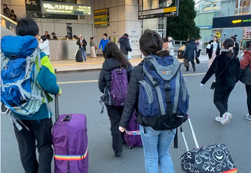 教育部：2024年留學回國49.5萬人 同比增長19.1% 