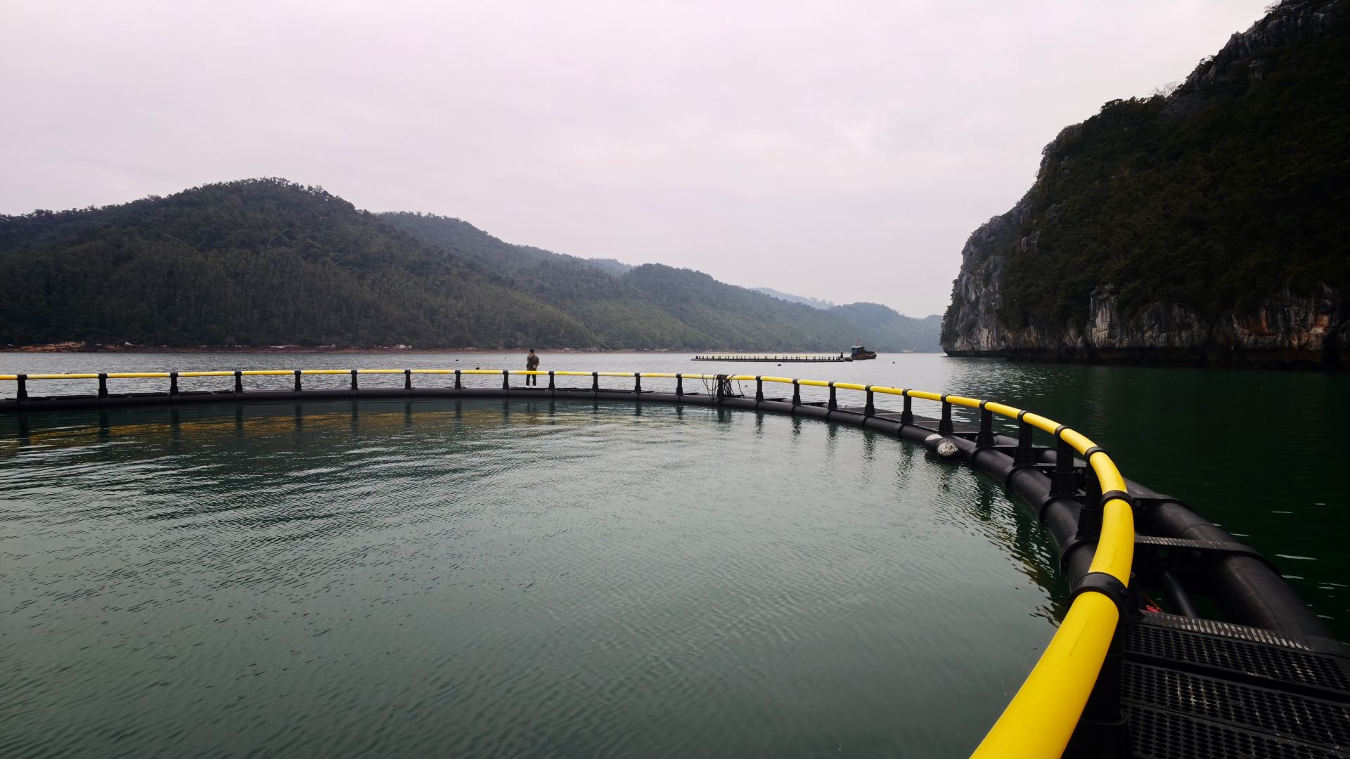 桂越漁業(yè)合作提「智」向「新」