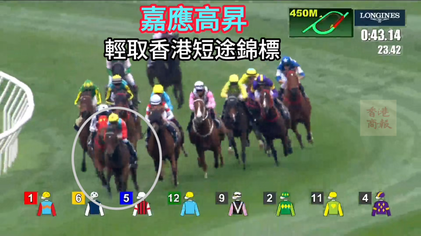 有片丨按韁衛(wèi)冕香港短途錦標(biāo) 嘉應(yīng)高昇完成16連勝
