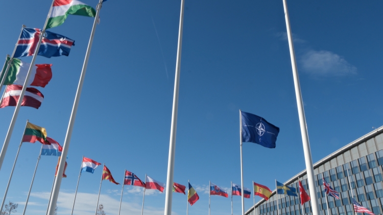 澤連斯基：美歐不支持烏克蘭加入北約