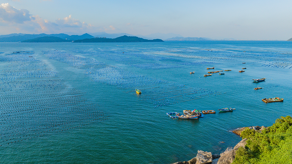 汕尾：築牢「藍(lán)色糧倉(cāng)」唱響「海洋牧歌」 全力構(gòu)建現(xiàn)代化海洋牧場(chǎng)千億級(jí)產(chǎn)業(yè)鏈