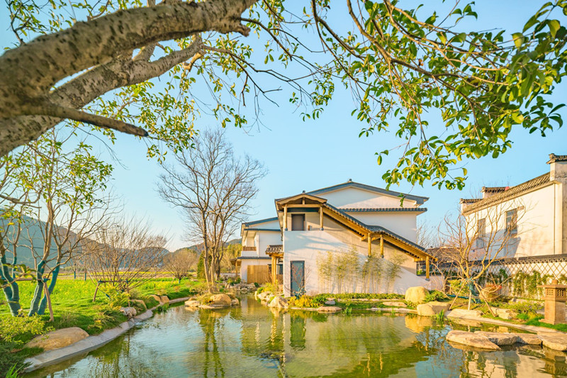 皖黟縣碧陽鎮(zhèn)：農(nóng)場裡「長出」悠然旅居