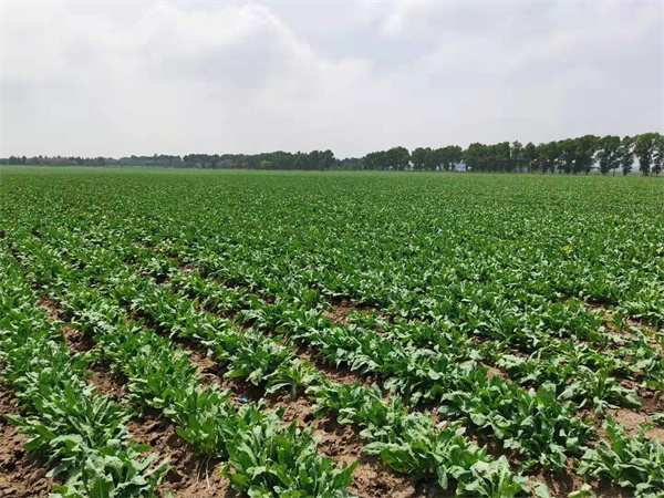 1632882395690548.jpg 1631606120.jpg