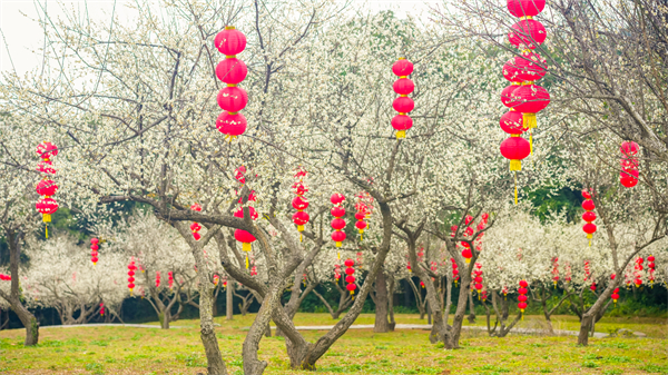 5 - 復(fù)件(5).jpg