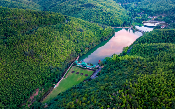 9、宜興竹海——華東第一竹海 .jpg