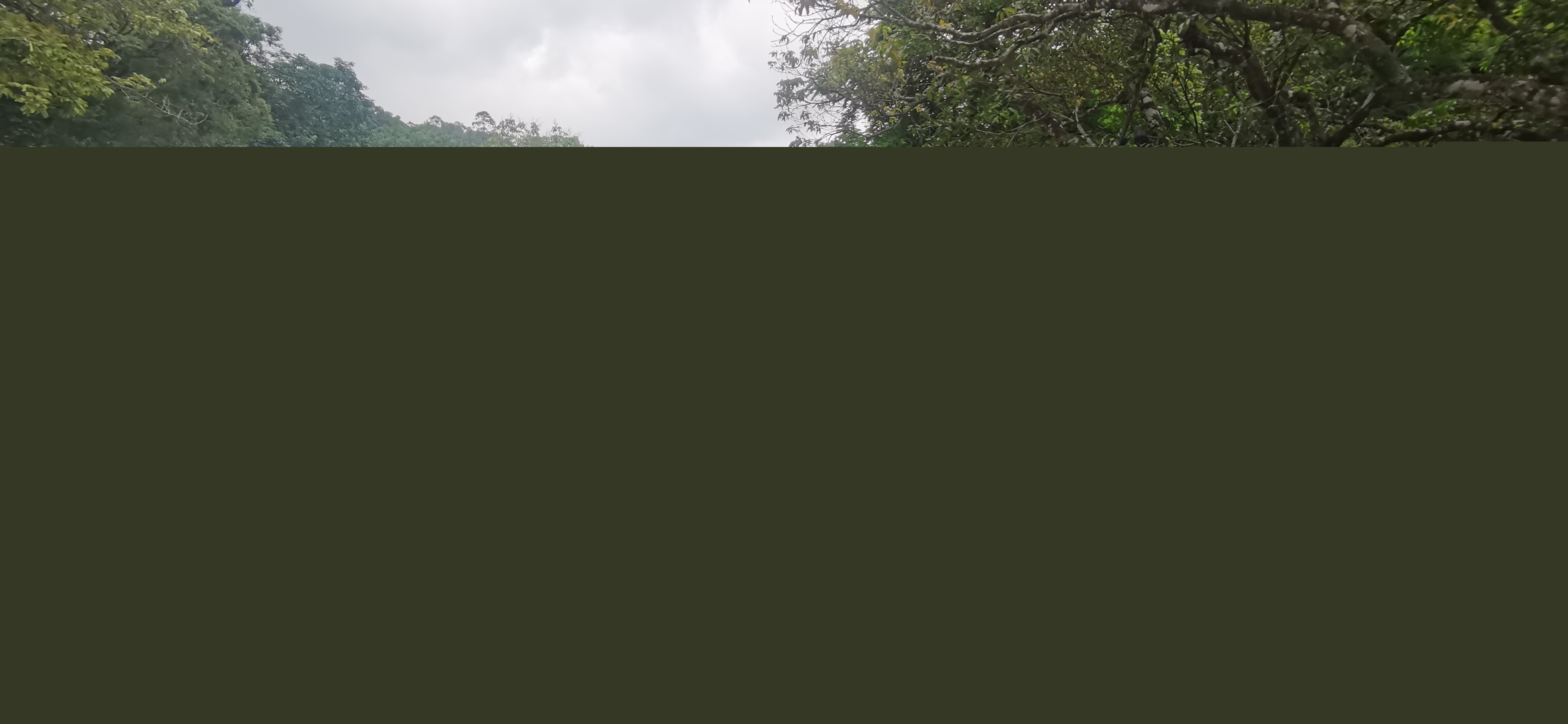 2 - 復(fù)件(7).jpg