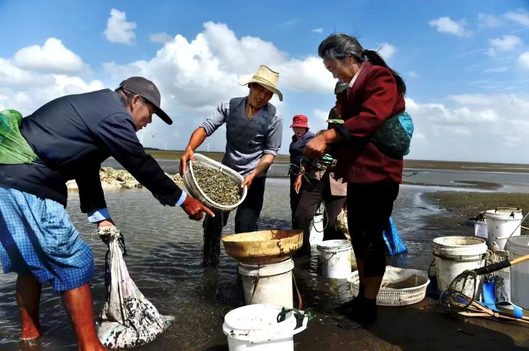 東海鎮(zhèn)擁有11.9公里海岸線、2萬多畝灘涂，漁業(yè)資源得天獨厚。.jpg