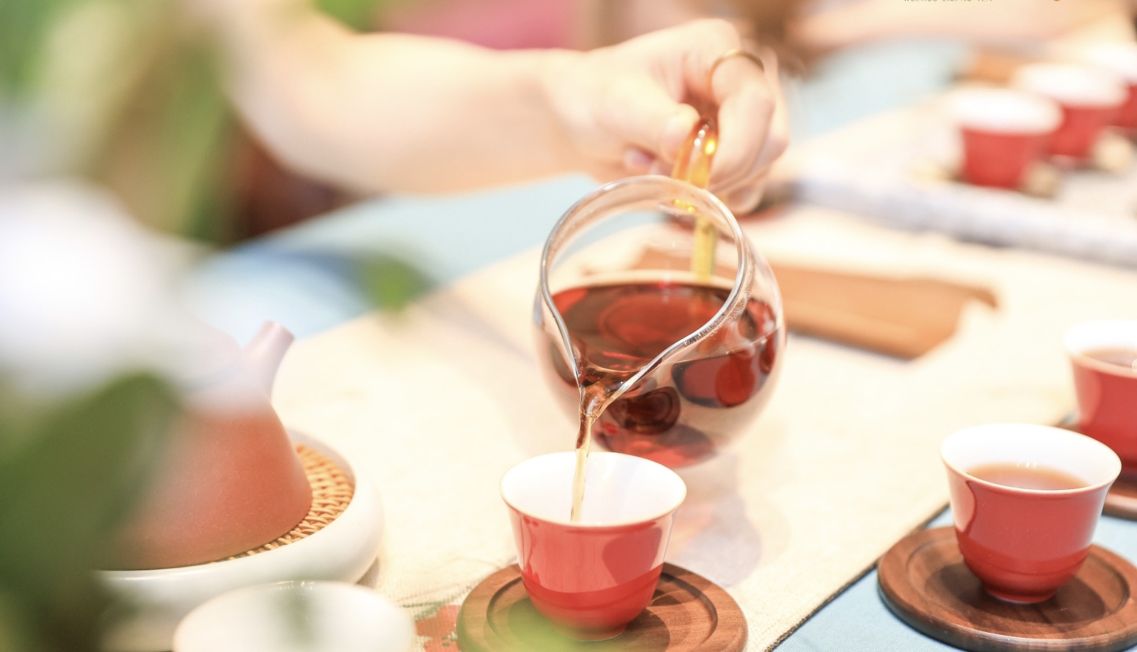 圖四:梧州六堡茶喜迎賓客 (主辦方供圖).jpg