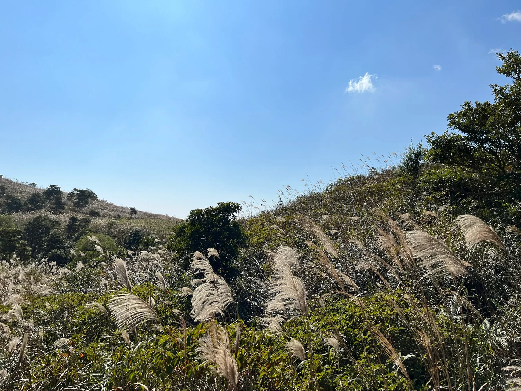 香港 鳳凰山_2_EHuan_Shi_來(lái)自小紅書(shū)網(wǎng)頁(yè)版.jpg