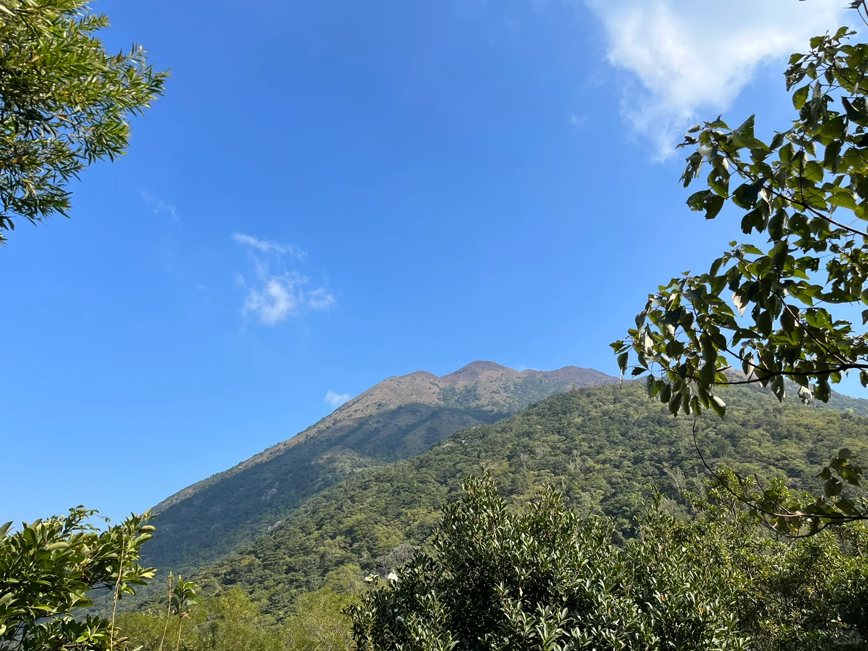 香港 鳳凰山_9_EHuan_Shi_來(lái)自小紅書(shū)網(wǎng)頁(yè)版.jpg