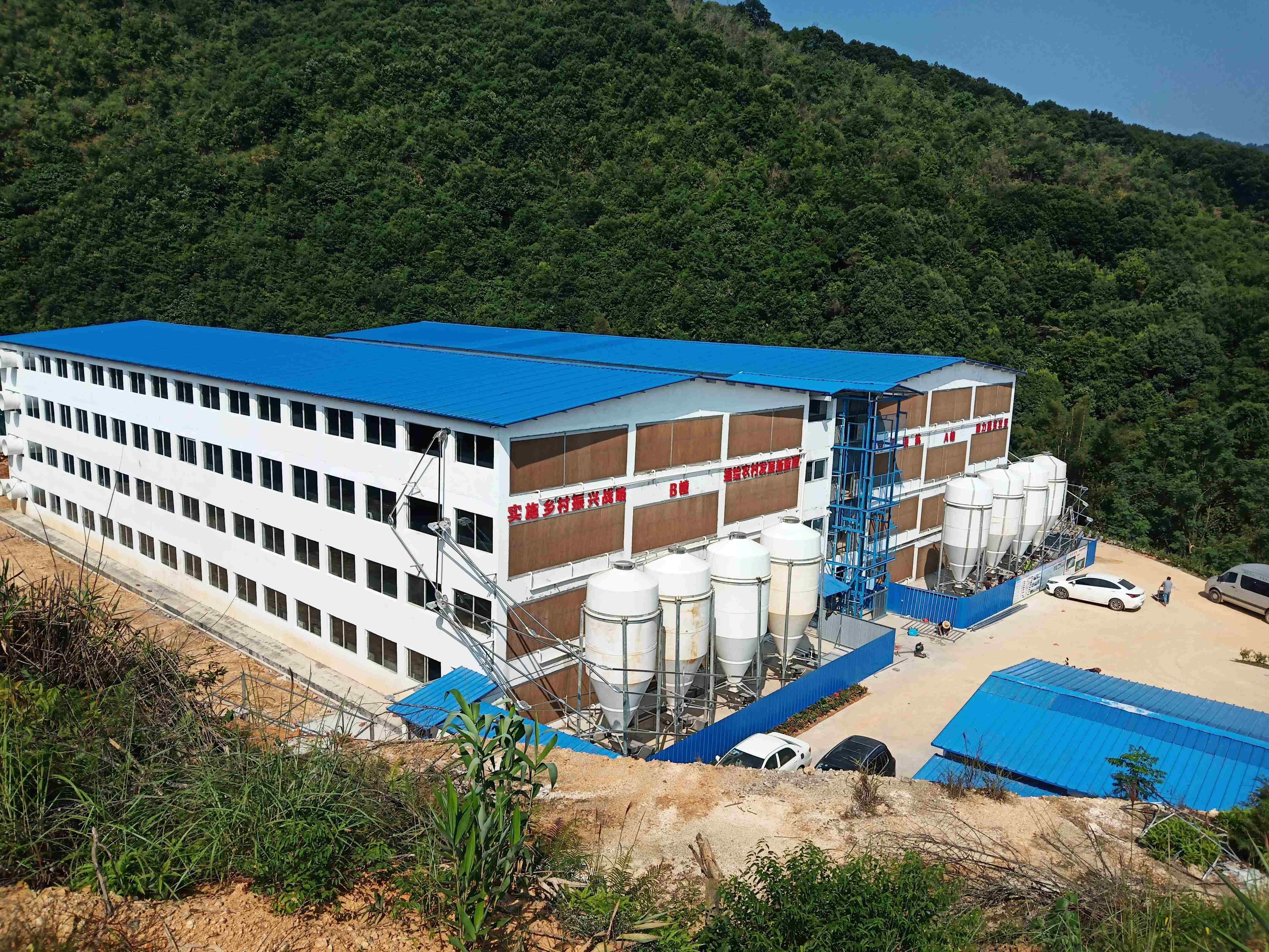 2.肉豬養(yǎng)殖場（廖偉 攝）.jpg