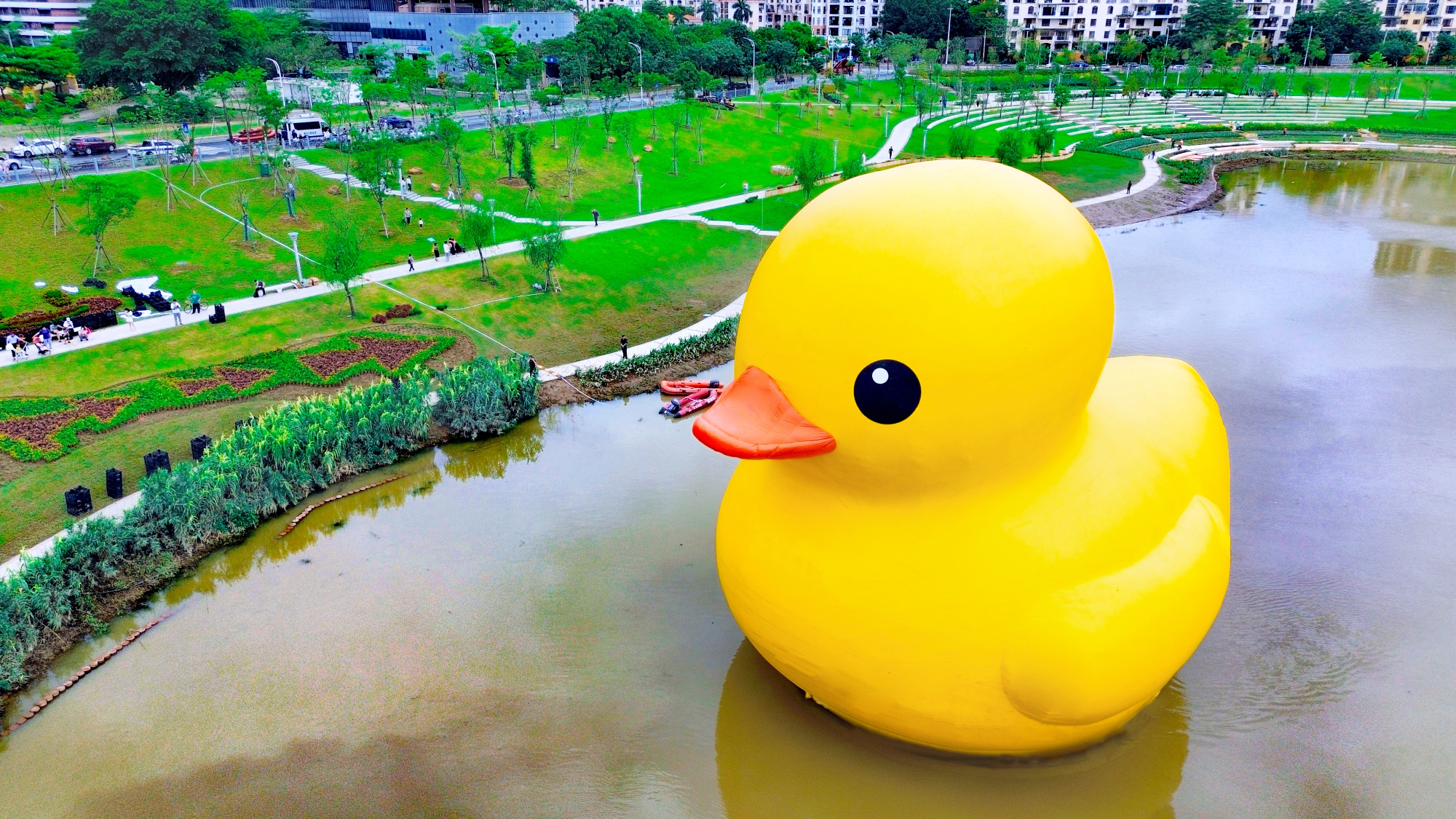 5 - 復(fù)件(3).jpg