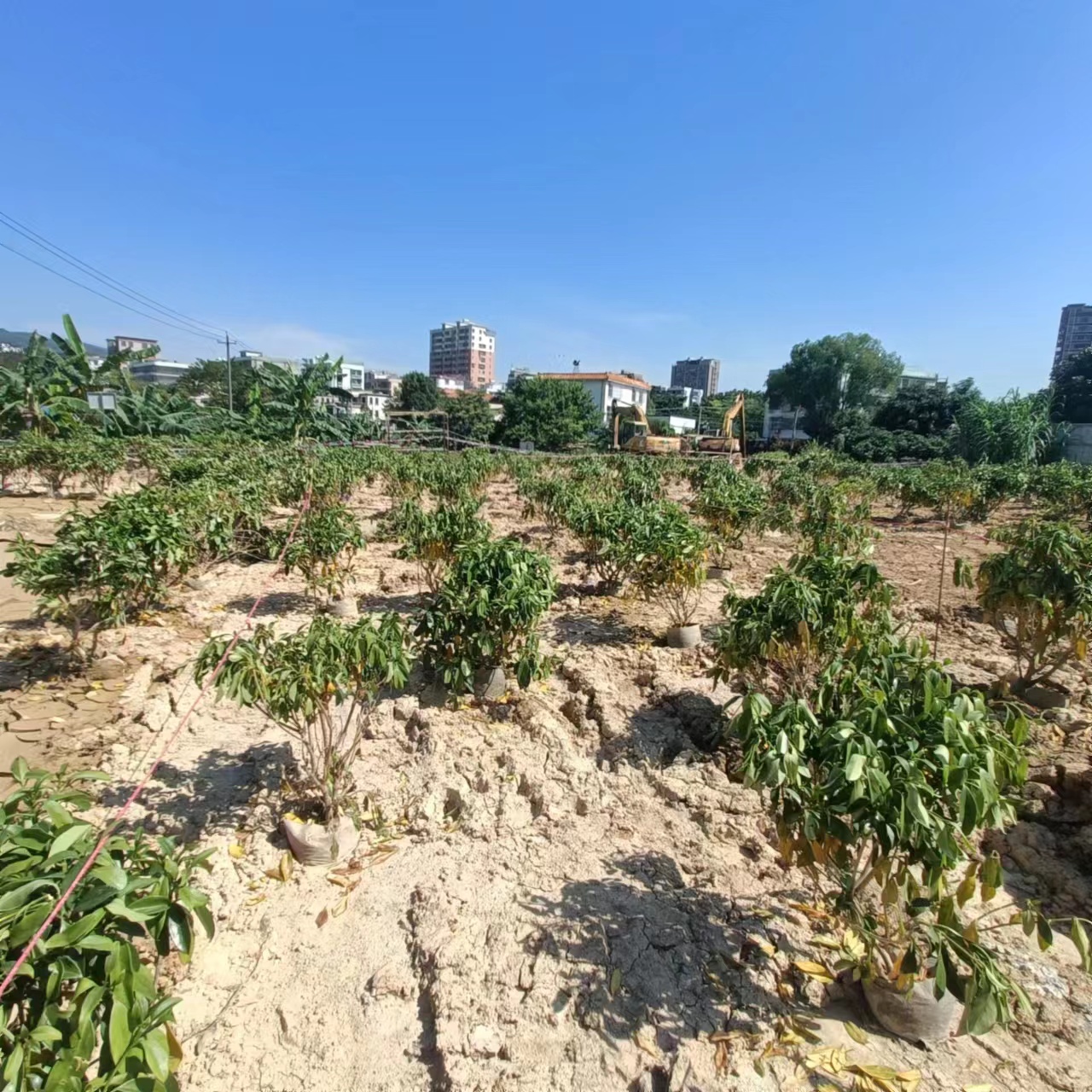 圖4 整改現(xiàn)狀.jpg