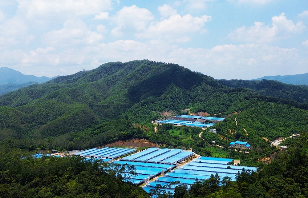 P03 順安牧場(chǎng) .JPG